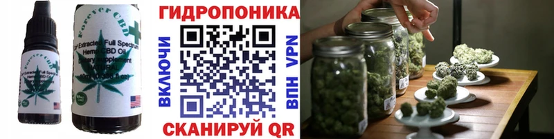 blacksprut как зайти  Гремячинск  Cannafood марихуана 
