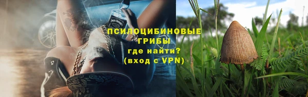первитин Богородск