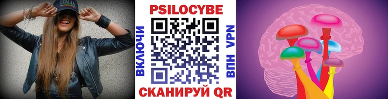 Псилоцибиновые грибы Psilocybe  наркошоп  Гремячинск 
